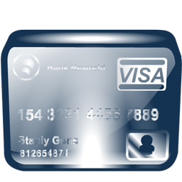 visa icon