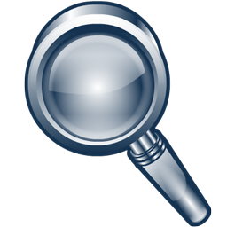 zoom icon