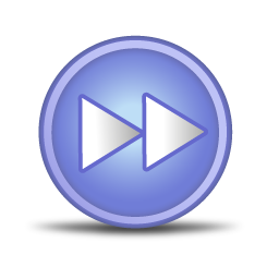 fast_forward icon