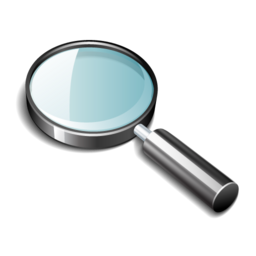 zoom icon
