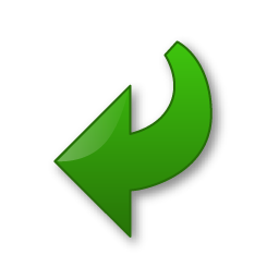 first icon