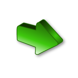 next icon