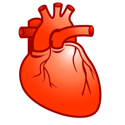 cardiology icon