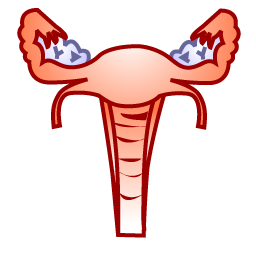 gynecology icon