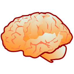 neurology icon