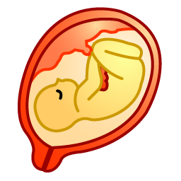 obstetrics icon
