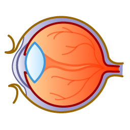 ophthalmology icon