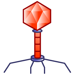pathology icon