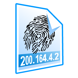 ip icon