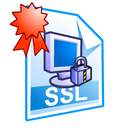 ssl_certificate icon