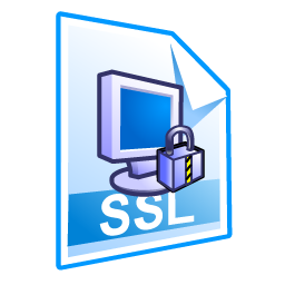 ssl icon