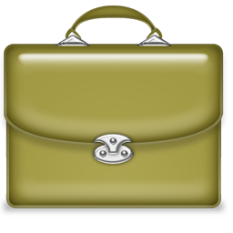 briefcase icon