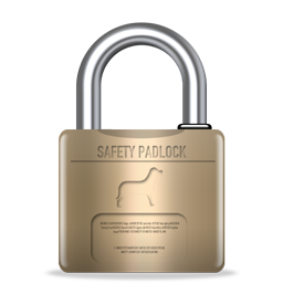 lock icon