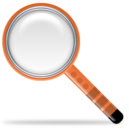 zoom icon