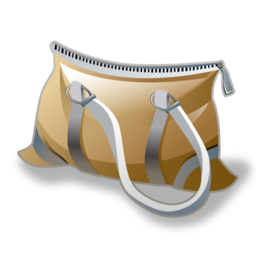 purse icon