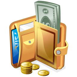 salary icon