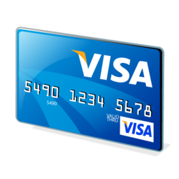 visa icon