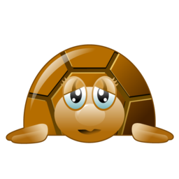 turtle icon