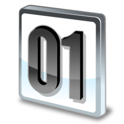 binary_field icon