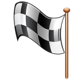 checkpoint icon