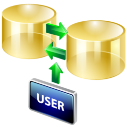 dbms icon