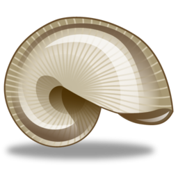 biology icon