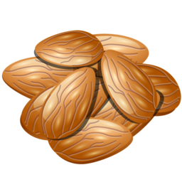 almond icon