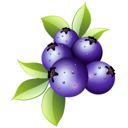 blueberries icon