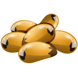 brazil_nuts icon