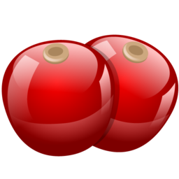 cranberries icon