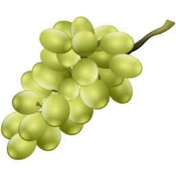 grapes icon