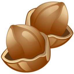 hazelnuts icon
