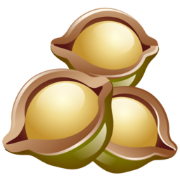 macadamia_nuts icon