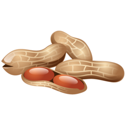 peanuts icon