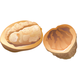 walnut icon