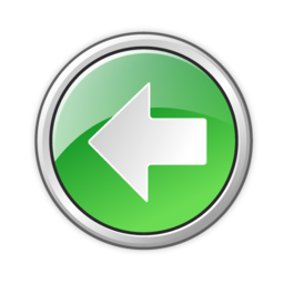 back icon