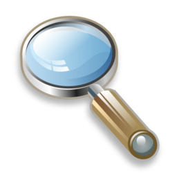 zoom icon