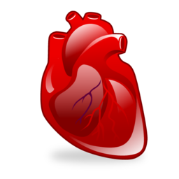 cardiology icon