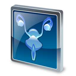 gynecology icon