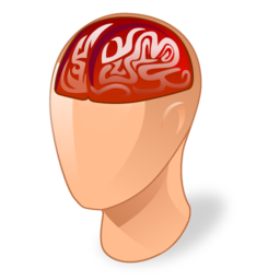 neurology icon