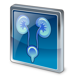 urology icon