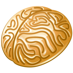 internal_memory icon