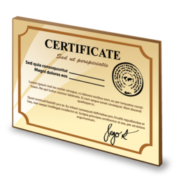certificate icon