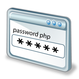 password icon