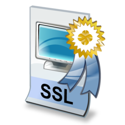 ssl certificate icon