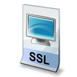 ssl icon