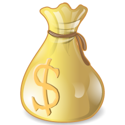 budget icon
