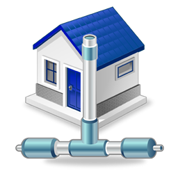 local_network icon