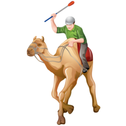camel_racing icon