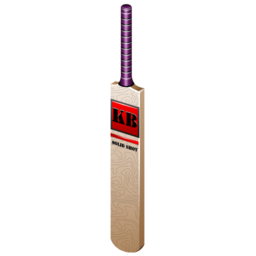 cricket_bat icon